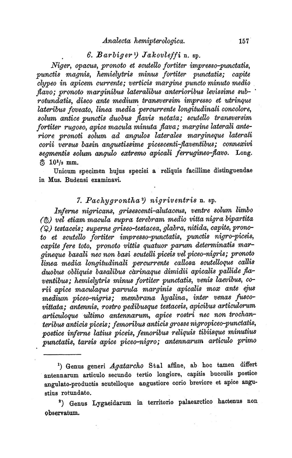 Analecta hemipterologica. 157 6. BarbigerI) Jakovieffi n. sp.