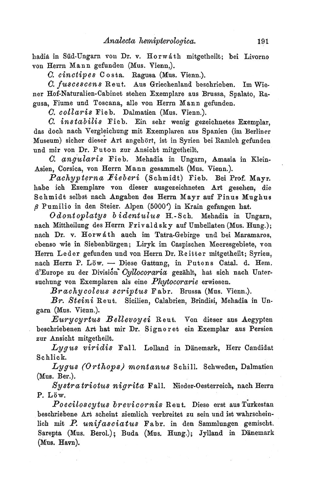 Analecta heaipterologica. badia in Siicd-Ungarn von Dr. v. Horw dt~h mitgetheilt; bei Livorno von Herrn Mann gefunden (Mus. Vienn,). a. cinctipes Costa. Ragusa (Mus. Vienn.). 0. fuscescerns Reut.