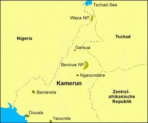 000 km² große Kamerun liegt im nördlichen Äquatorialafrika und zählt kulturell und ornithologisch zu den interessantesten afrikanischen Reiseländern.