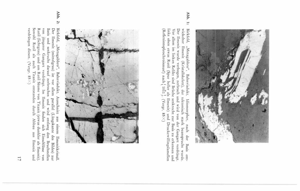 Abb. 1: Birkfeld, Metagabbro, Bahnviadukt. Idiomorpher, nach der Basis ent wickelter Ilmenit (Kristaliskelett), der tektonisch stark beansprucht wurde.