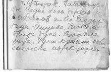 (шест дана касније је умро), макар овлашну слику стичемо из дневника који је Чајкановић, већ тешко болестан, тада водио.
