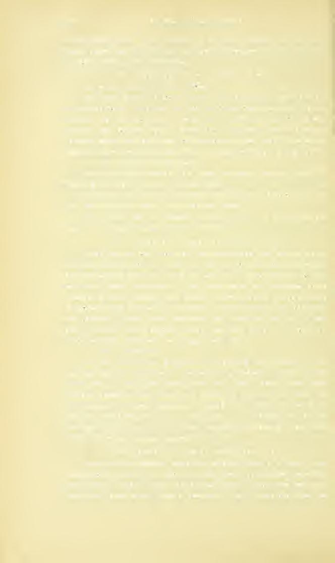 190 E. Hinlz: Nene Cleriden jenem verschieden. Die Zeichnung der Fld. besteht in drei deutlichen schwarzen Querbinden und zwei schwarzen Stellen am Vorderrande neben dem Schildchen. Ph. 30.
