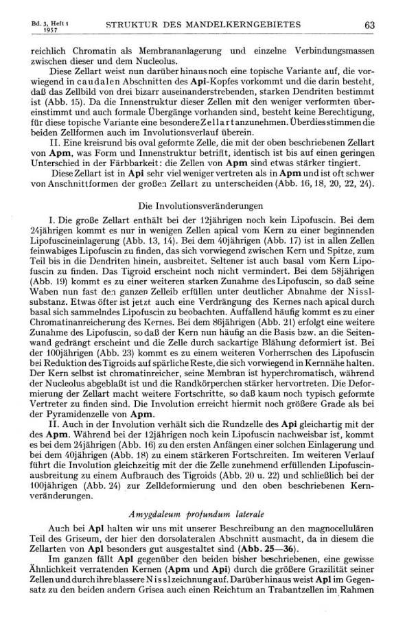 Bd. 3, Heft 1 1957 STRUKTUR DES MANDELKERNGEBIETES 6 3 reichlich Chromatin als Membrananlagerung und einzelne Verbindungsmassen zwischen dieser und dem Nucleolus.