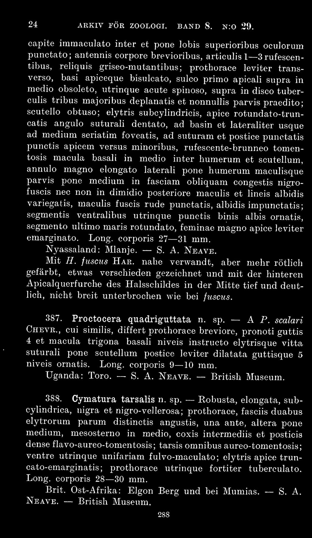 apiceque bisulcato, sulco primo apicali supra in medio obsoleto, utrinque acute spinoso, supra in disco tuberculis tribus majoribus deplanatis et nonnullis parvis praedito; scutello obtuso; elytris