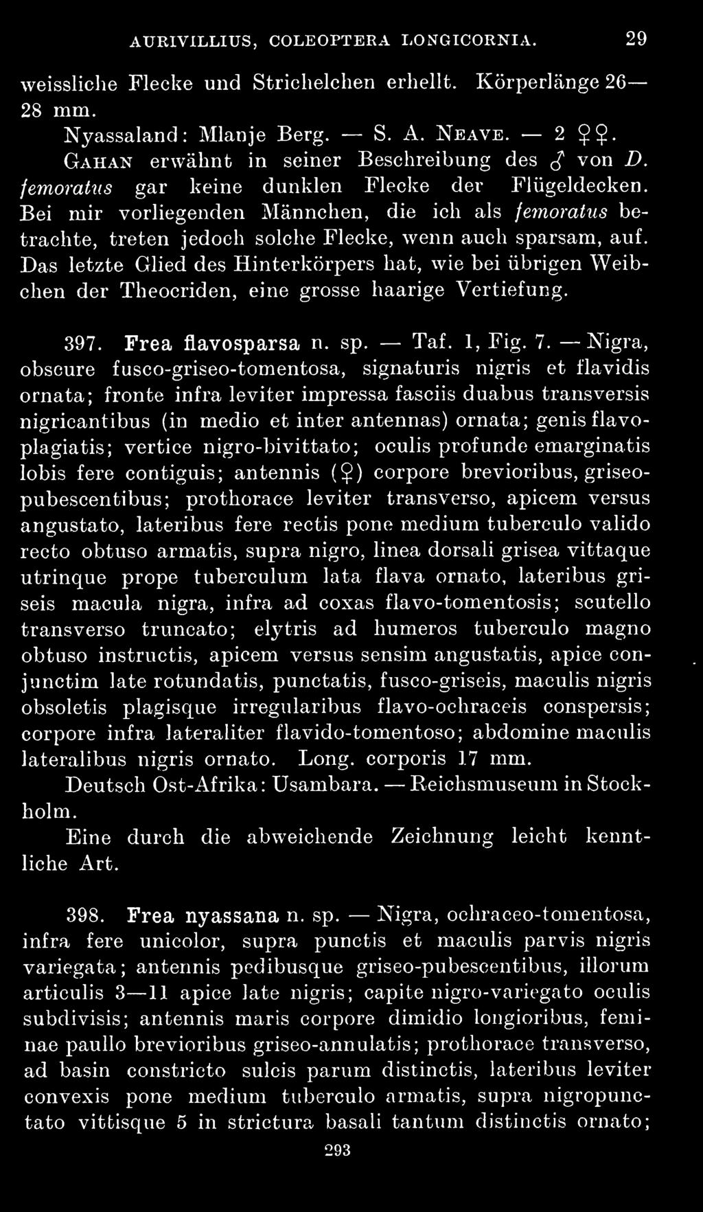 Das letzte Glied des Hinterkörpers hat, wie bei iibrigen Weibchen der Theocriden, eine grosse haarige Vertiefung. 397. Frea flavosparsa n. sp. Taf. 1, Fig. 7.