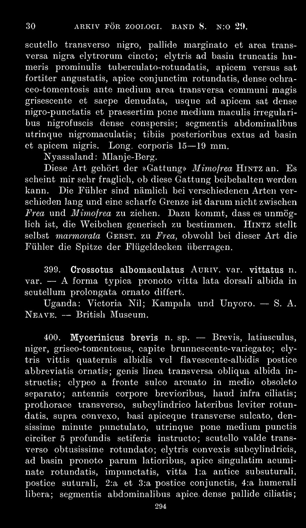 apice conjunctim rotundatis, dense ochraceo-tomentosis ante medium area transversa communi magis grisescente et saepe denudata, usque ad apicem sat dense nigro-punctatis et praesertim pone medium