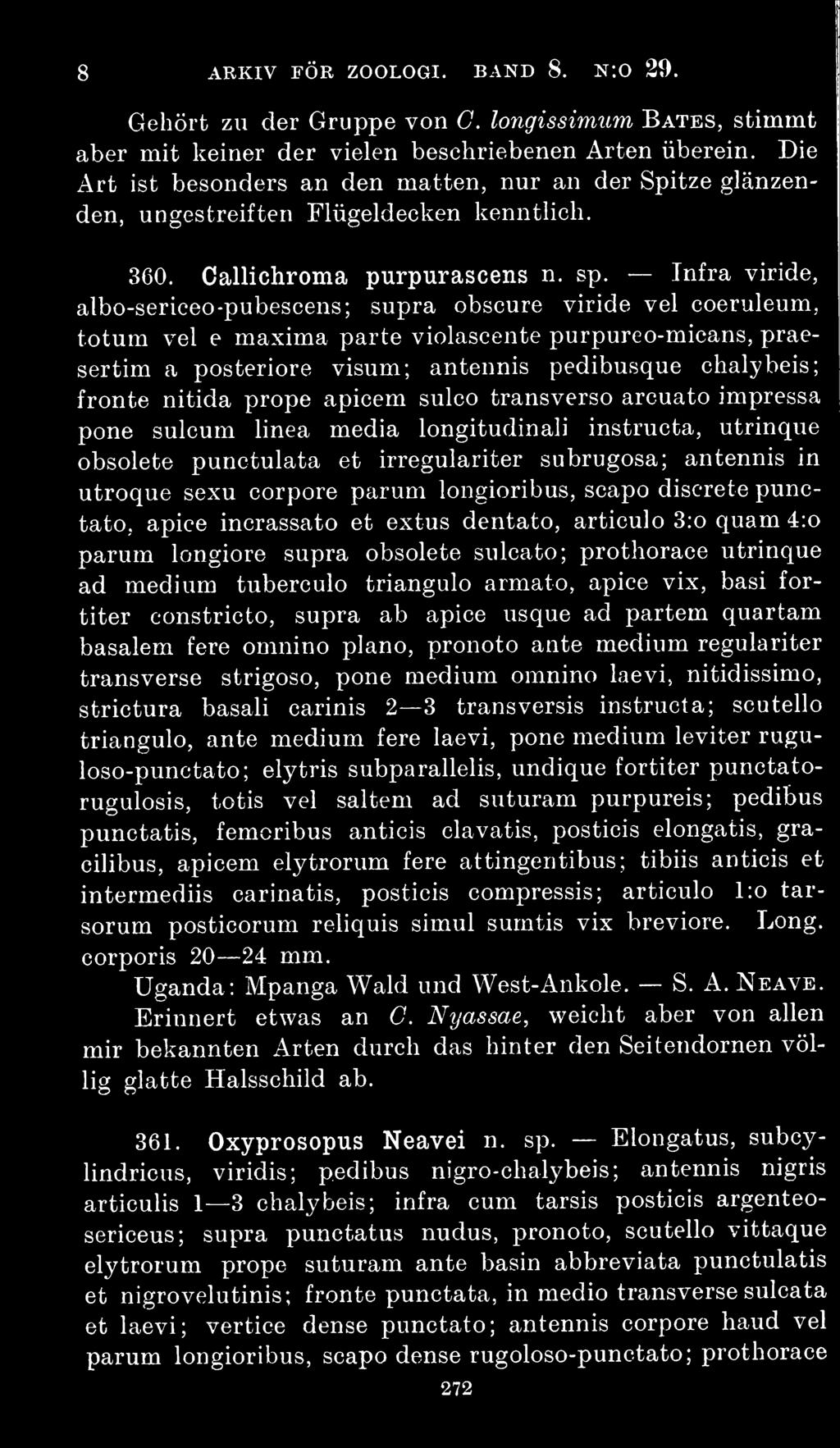 Infra viride, albo-sericeo-pubescens; supra obscure viride vel coeruleum, totum vel e maxima parte violascente purpureo-micans, praesertim a posteriore visum; antennis pedibusque chalybeis; fronte