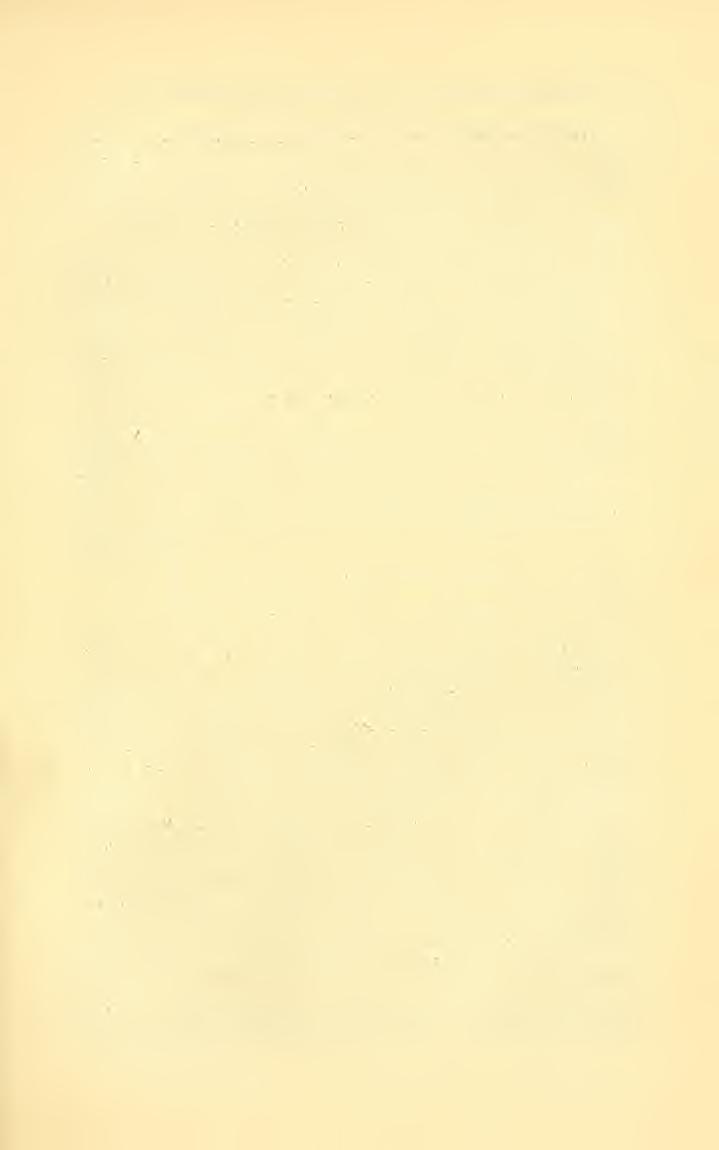 Gebiete der Entomologie während des Jahres 1896 (Hymeuoptera). 367 flavvs^ niger, Formica fusca^ Tetrumorium caespitum und Myrmica laevi?iodis. Iheriug, H. von. (1).