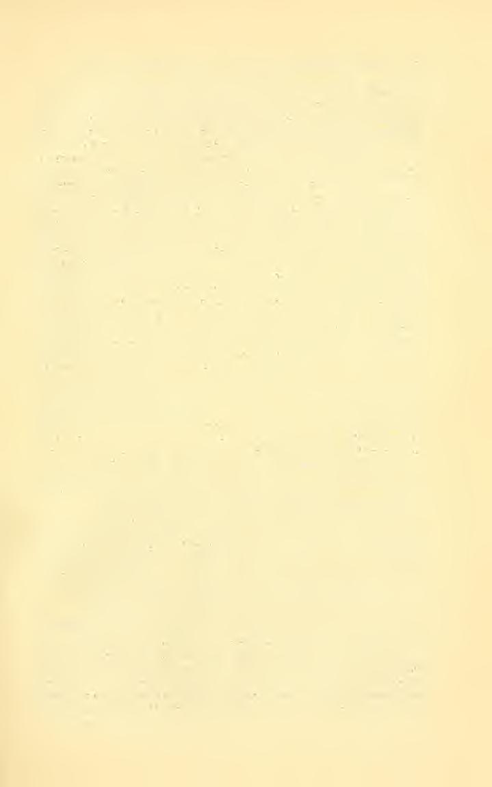Gebiete der Entomologie während des Jahres 1896 (Hymenoptera). 369 (2). Verschiedenes aus der Hymenopteren-Gruppe der Tenthrediniden. Wien, entom. Zeit. 15. Jhgg. p. 41 59. Enthält I.