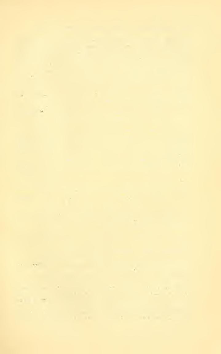Dryophantlta Biodiversity Heritage Library, http://www.biodiversitylibrary.org/; www.zobodat.at Gebiete der Entomologie während des Jahres 1896 (Hymenoptera).
