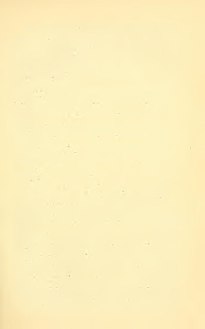 Gebiete der Eutoraologie während des Jahres 1896 (Hymenoptera). 401 Rudow *) Wohnungen. Russky ^) -) ^), Ameisen Russlands. Schenkung ^), Ameisengäste. Schmitz, Ameisen aus Madeira. Schlüter.