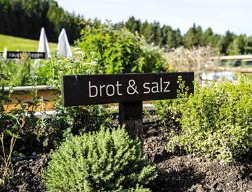 Die Natur im Teller Zurück zum Ursprung. Zurück zum Natürlichen. Zurück zu dem, was die Natur uns schenkt.