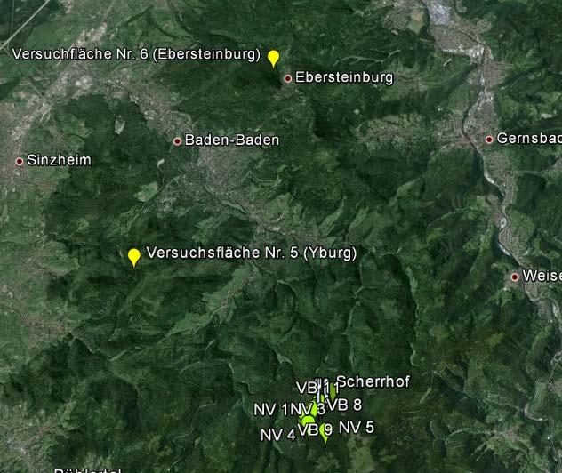 Der Versuch -Baden-Württemberg, Stadtwald Baden-Baden, 700 m ü NN (2 Orte mit