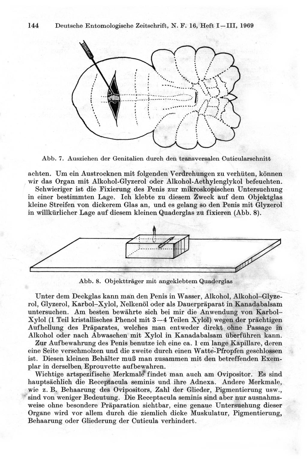 144 Deutsche Entomologische Zeitschrift, N. F. 16, Heft I-III, 1969 Abb. 7. Ausziehen der Genitalien durch den transversalen Cuticularschnitt achten. Um ein Austrocknen mit folgendexj.
