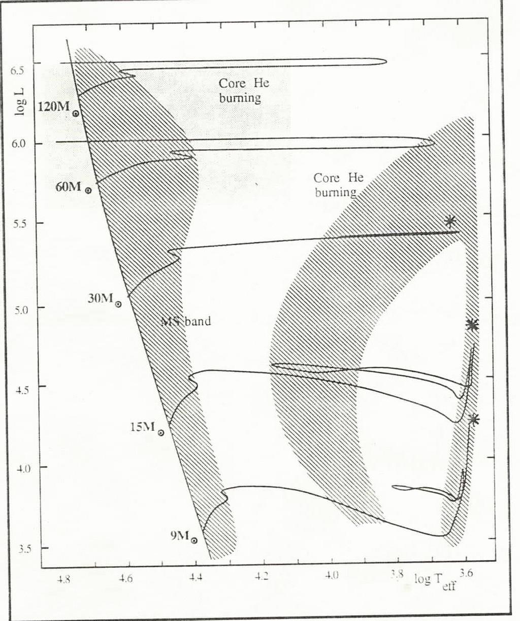 Entwicklung massereicher Sterne Hertzsprung Russell Diagramm der Entwicklung massereicher