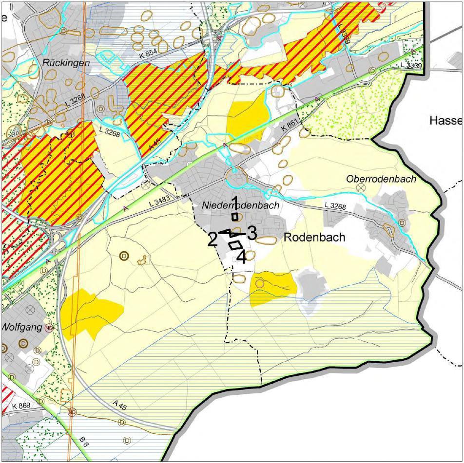 1. Änderung des Regionalplans Südhessen/Regionalen Flächennutzungsplans 2010 für die Gemeinde Rodenbach, Ortsteil Niederrodenbach, Gebiet: Südlich