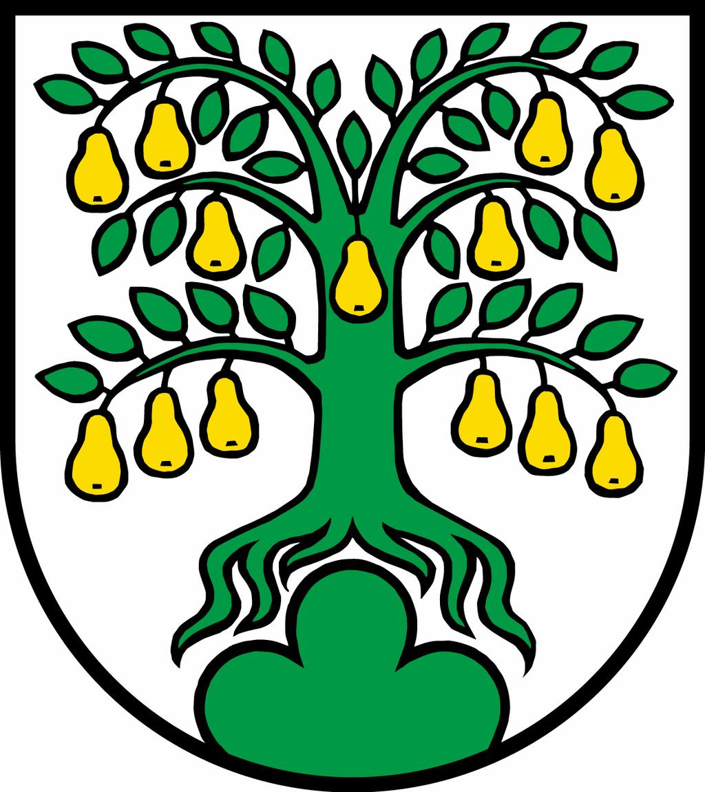 Gemeinde Oberwil-Lieli ELEKTRIZITÄTSVERSORGUNG Tarif KN - 2019 gültig ab 1. Januar 2019 1.