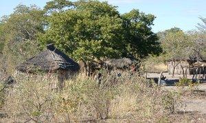 SEHENSWERT Kommunales Farmland Das echte Afrika Namibia - Caprivi Auf der Fahrt nach