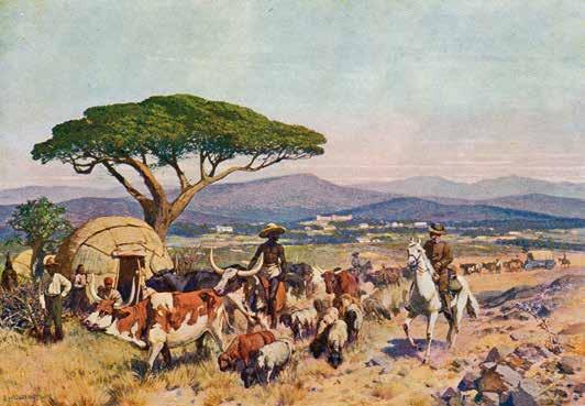 DEUTSCH-SÜDWESTAFRIKA 65 10648 1905, Herero-Aufstand, Feldpost, farbige Fotokarte mit Stempel OKAHANDJA 15.2.06 u.