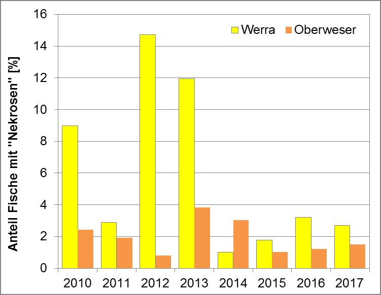 Abb. 33: Anteil der durch sog. Nekrosen geschädigten Fische in Oberweser und Werra im Zeitraum 2010 2017.
