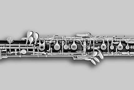 7 Die Oboe gehört zu der Doppelrohrfamilie, wie auch das Fagott. Diese Instrumente haben ein aussergewöhnliches Mundstück das Doppelrohr. Das Oboenrohr besteht aus Schilfholz.