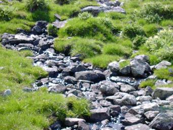 26 Rinnsal Schmale "fließende Gewässer" mit zeitweiliger oder ständiger Wasserführung, die nicht in der