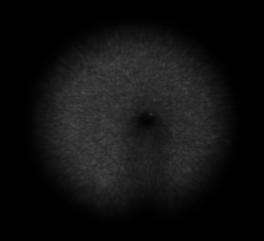Bild bei z = 43 µm b. Bild bei z = 433 µm Bild.-Nr.