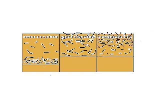 Bodenbearbeitungsverfahren im Feldversuch Saat Vorfruchtreste (Mais) 30 cm 20 cm