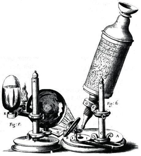 Bis Zellen unter dem Mikroskop betrachtet werden konnten, sollte es noch viele Jahrhunderte dauern. Erfahrt mehr über die Entwicklung des Mikroskops und die damit verbundenen Entdeckungen.