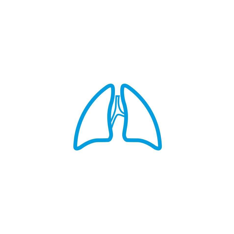 Lungen- und Herz- Lungentransplantation 2016 Ergänzungsbericht zum Tätigkeitsbericht 2016 über die Ergebnisse der