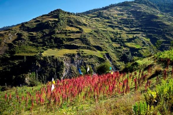 Strahlende Bergsonne im Örtchen Tunahuayin, hoch im peruanischen