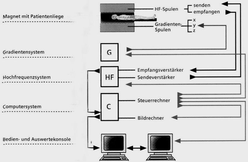 19 1.6 MRI Gerät Das MRI System besteht aus: Magnet mit Shimspulen- und Gradientenspulensystem, HF-System, Computersystem mit Bedienkonsole, Anlagensteuerung sowie Patientenliege.