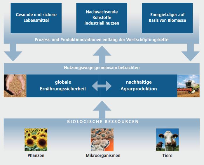 Bioökonomie Handlungsfelder (Forschungsstrategie) Zusammenhänge zwischen den Handlungsfeldern Quelle: BMBF: