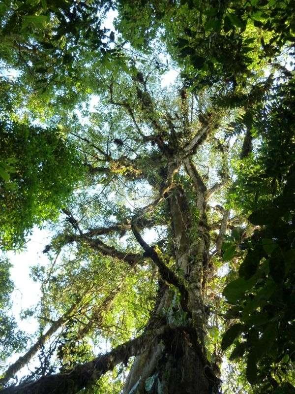 8. Monatsbericht aus Ocotal/Nicaragua von Rosa Brocar (am 29.8.12 ausgereist) In diesem nun schon achten Monat war ich motiviert, alle die neuen Ideen, die ich frisch aus dem Seminar geschöpft hatte, umzusetzen.