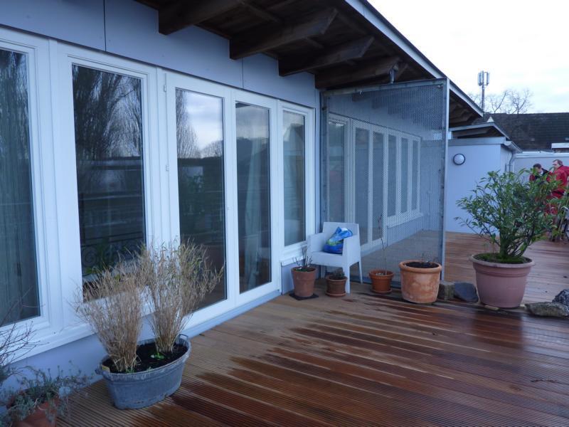 INSTANDSETZUNGSMAßNAHMEN Einbau von bauzeitlichen Zink-Pfalz-Fensterblechen Erneuerung der Dachentwässerung und