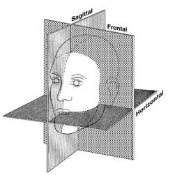 Kois Forschung einer durchschnittlichen Achseinzisaldistanz von 100 mm wurde der Kois Dento-Facial Analyzer entwickelt, um die Verfahren zum Übertragen und Montieren von Studienabdrücken sowohl