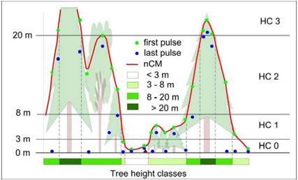Waldstrukturerfassung Segmentierung des ndsm in Höhenklassen Klassifizierung von