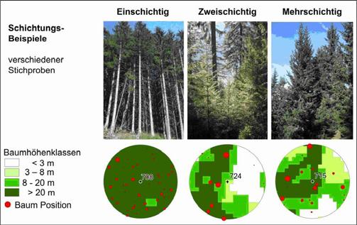 Characterising Mountain Forest structure using Airborne Laser Scanning.