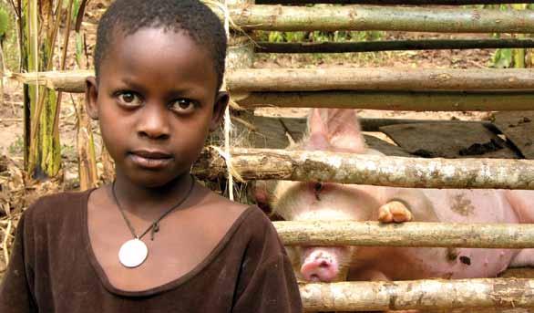 verantwortung leben verantwortung leben Im Mittelpunkt der Adventaktion 2008 stand das Waisenkinderprojekt in Uganda Zukunft für Waisenkinder, welches die Diözese Kiyinda- Mityana vor einigen Jahren