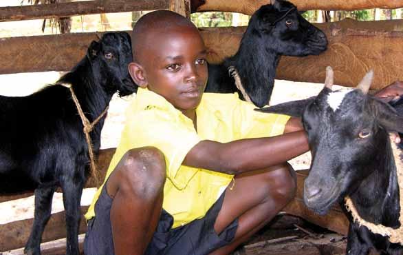 In Uganda gibt es knapp 14 Millionen Kinder und Jugendliche. 13 % oder rund 1,8 Millionen davon sind Waisenkinder.