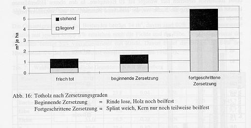 Die gezäunte Repräsentationsfläche ist noch sehr arm an Totholz. Die circa 9 Festmeter Totholz entsprechen weniger als 2% des lebenden Vorrates.