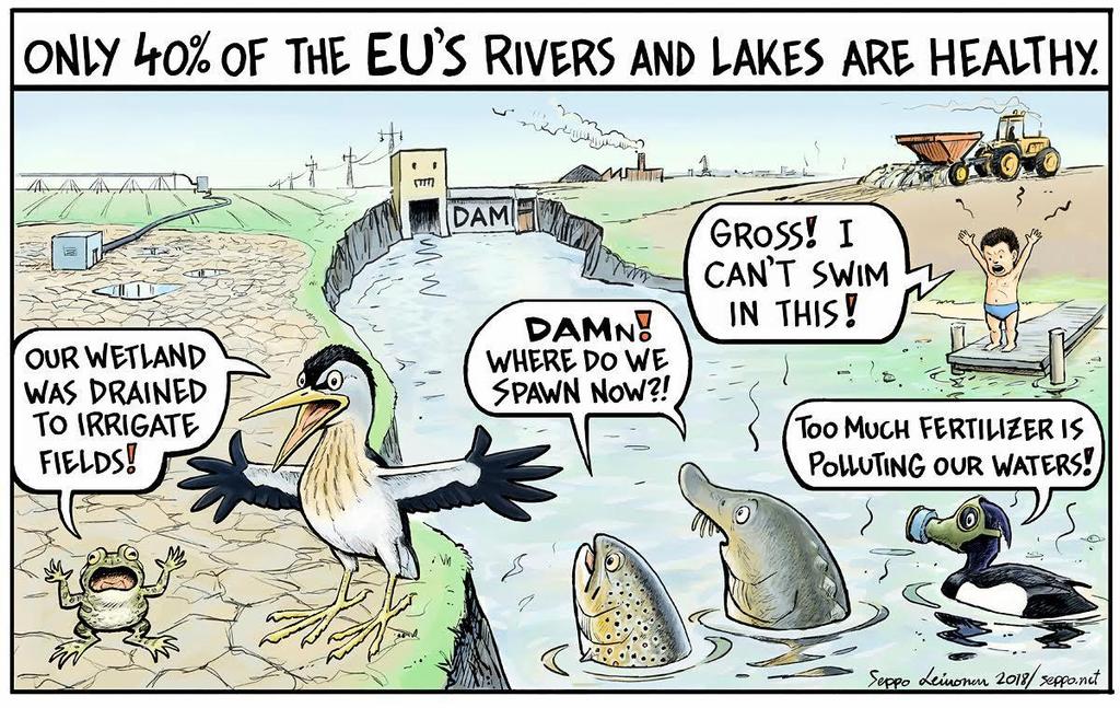 #ProtectWater. Die Wasserrahmenrichtlinie der EU ist eine der fortschrittlichsten Umweltrichtlinien der Welt, doch viele EU-Mitgliedstaaten wollen diese Richtlinie nun schwächen.