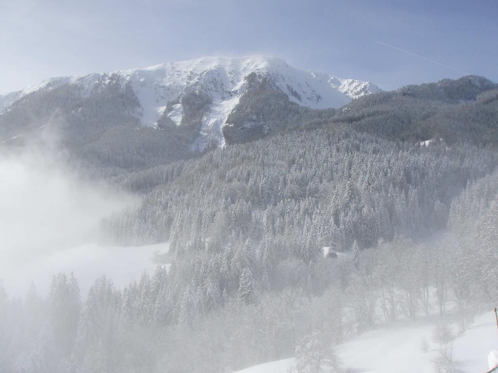 Aufsteigende Nebelschwaden und Schneefahnen am Kamm der Bärentaler Kotschna - im Vordergrund ist das Gehöft Plautz (=A2) zu erkennen (Standort des Photographen: Alt St.