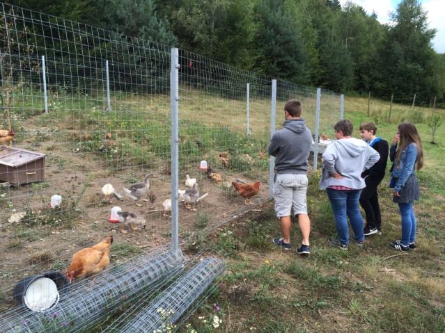 Eine sehr mühsame Arbeit ist es als Verantwortlicher für die Zelte, diese zu warten und sich um deren Einsatzfähigkeit zu bemühen.