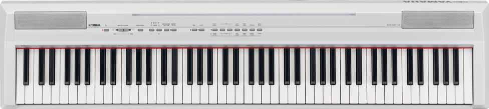 zehn Rhythmen und zehn Pianist-Styles zum Verschönern jeder Melodie und die neue Pure CF Sound Engine für fortschrittlichste