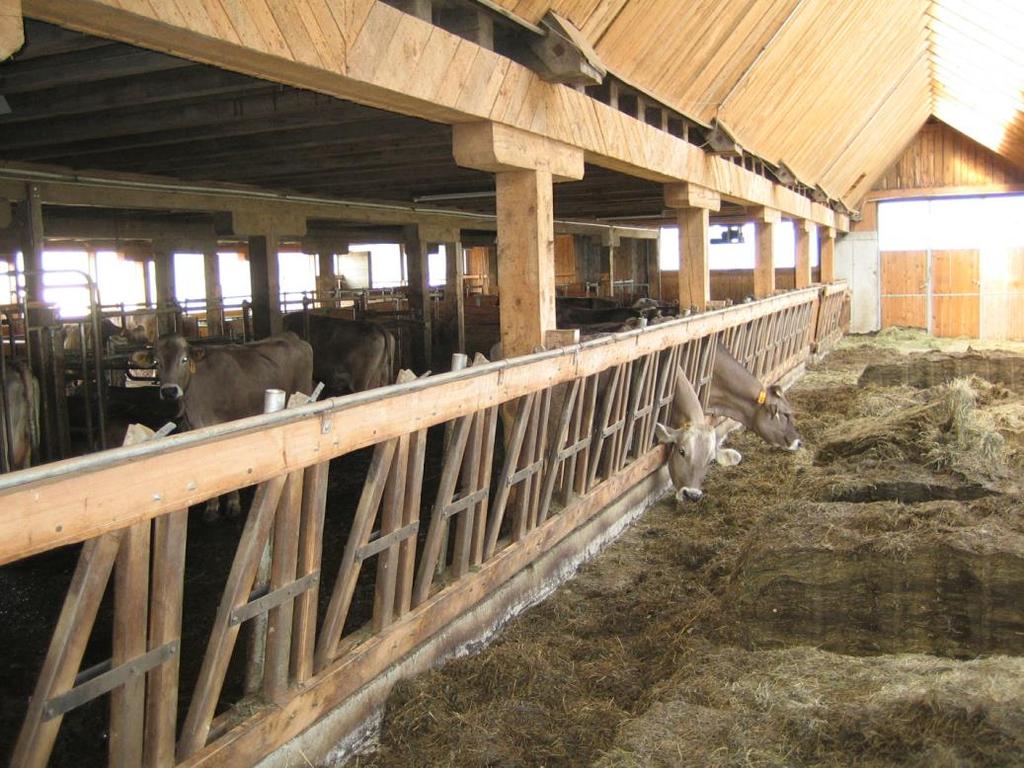 Wirtschaften ökonomisch erfolgreiche Milchviehbetriebe in Österreich auch ökologisch und sozial nachhaltig? Leopold KIRNER BA für Agrarwirtschaft Marxergasse 2, 1030 Wien leopold.kirner@awi.