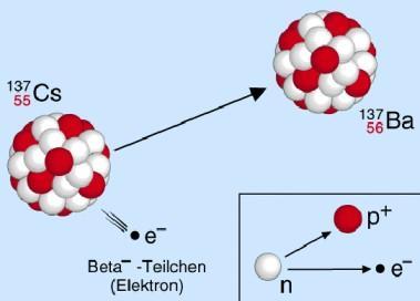 dabei kommt es zum Austausch der sehr schweren Eichbosonen W +,W - n _ n _ ß-Zerfall des Neutrons Neutron Zeit W - Proton e - _ n e t ½ = 887 s, Q-Wert