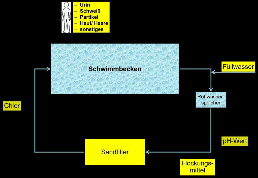 Ergebnisse und Diskussion Abbildung 4.9: Schematische Darstellung eines Schwimmbeckens mit vereinfachter Aufbereitungsanlage. Alle potentiellen Quellen für Verunreinigungen sind hervorgehoben.