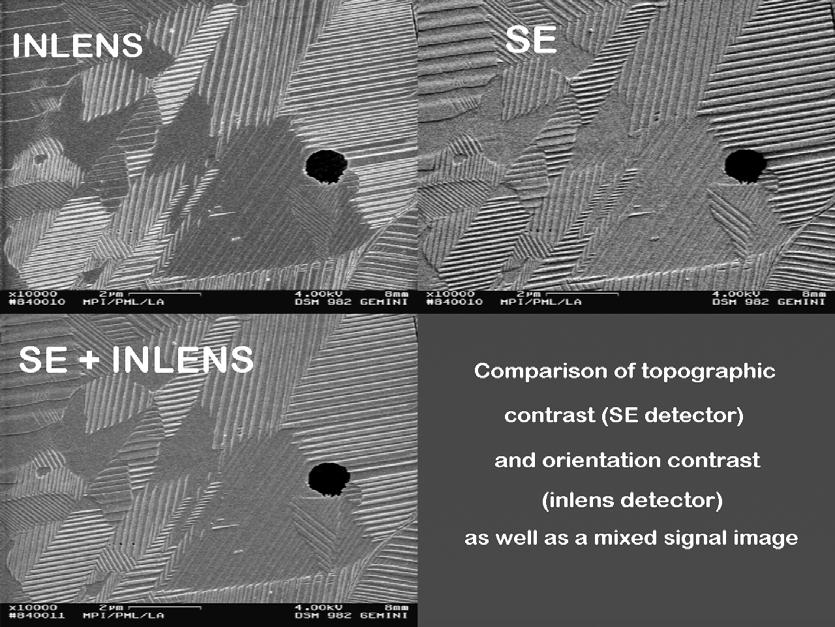 2 1 3 3 Vergleich des des Topographie- Kontrastes(Lateraler SE SE --Detektor) mit mit dem dem Orientierungskontrast (InlensDetektor )) und und dem dem Mischsignal aus aus SE SE + Inlens --Detektor.