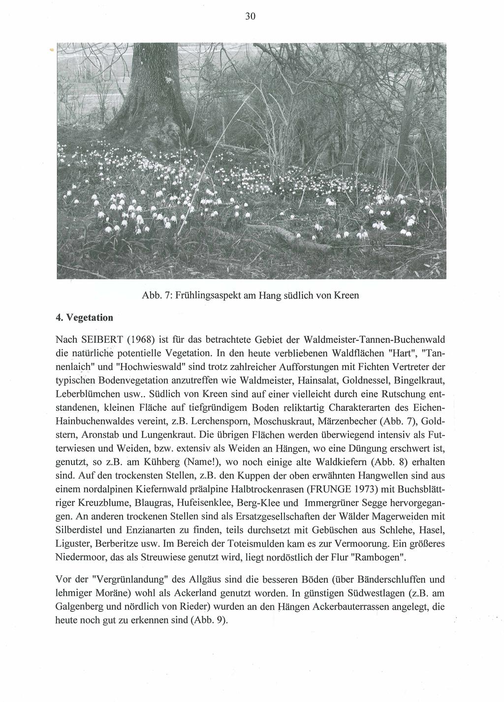 30 Abb. 7: Frühlingsaspekt am Hang südlich von Kreen 4. Vegetation Nach SEIBERT (1968) ist für das betrachtete Gebiet der Waldmeister-Tannen-Buchenwald die natürliche potentielle Vegetation.